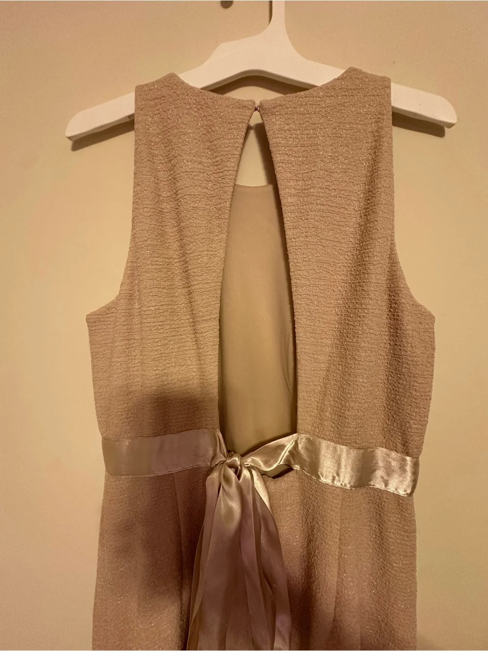 Adrianna Papell Champagne Metallic Maxi Dress Formal Evening Gown Size 6